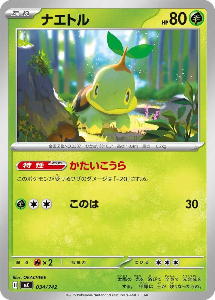 Turtwig Pokemon card – 034/742