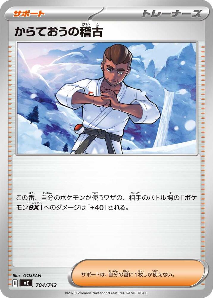 Black Belt's Training Pokemon card –  704/742