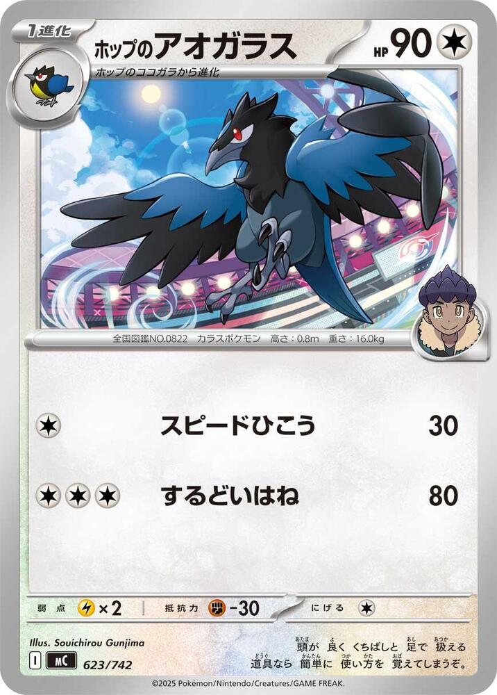 Hop's Corvisquire Pokemon card –  623/742
