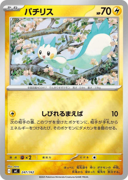 Pachirisu Pokemon card –  247/742
