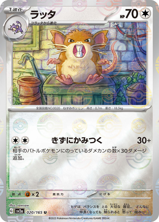 Raticate Pokemon card – SV2a: Pokemon Card 151 020/165