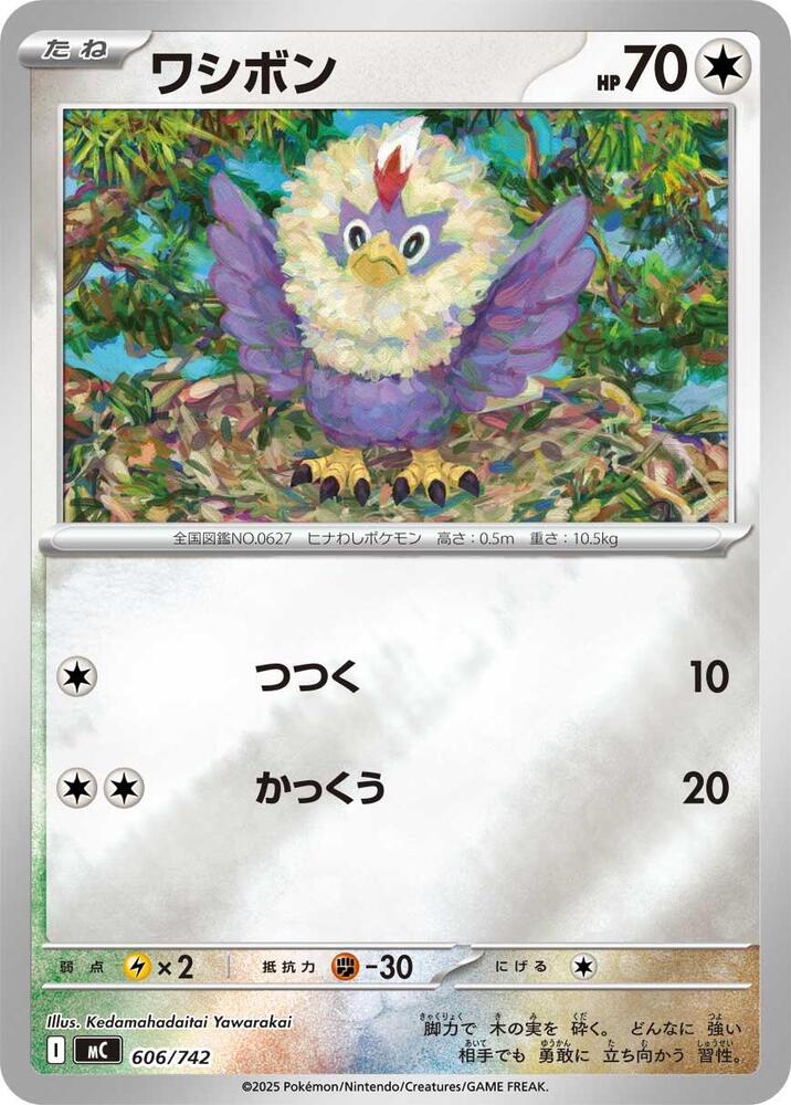 Rufflet Pokemon card –  606/742