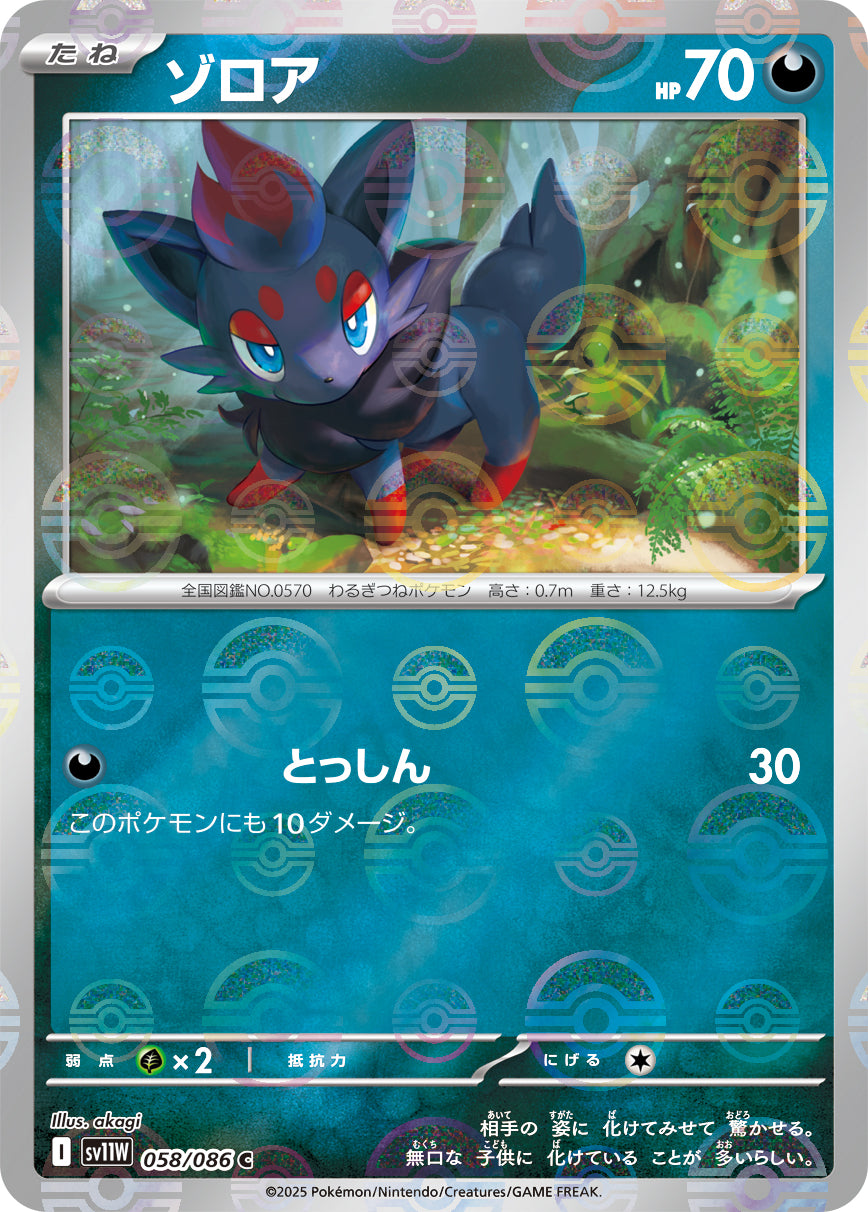 Zorua Pokemon card – SV11W: White Flare 058/086
